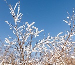 В Астраханской области прогнозируется мороз до -26