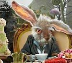 Зайцы могут выдыхать: с субботы в Астраханской области на них запретят охоту