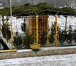 Где оборудовали купели на Крещение в Астрахани?