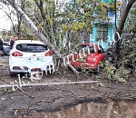 Последствия непогоды: деревья в Астрахани продолжают падать на машины