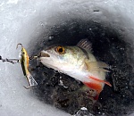 Астраханец нарушил правила и пограничного режима, и рыболовства