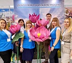 Астраханские туроператоры представляют свой потенциал на крупнейшей выставке страны 