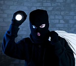 Кто во что горазд: в Астрахани воруют голубей и бордюры