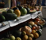 Астраханцев приглашают на очередную сельскохозяйственную ярмарку 