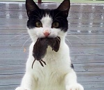 За год прожиточный минимум в Астрахани вырос на 850 рублей (+13,5%)