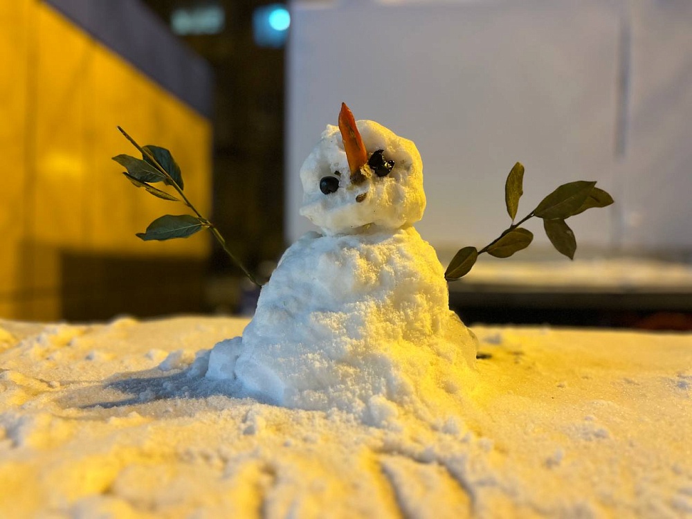 Снег в Астраханской области останется еще на день 