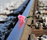 Ирина Родненко – руководитель фракции «ЕР» в Облдуме о подозреваемых в педофилии Курскове и Поплевко: «Это преступление аморально и бесчеловечно»