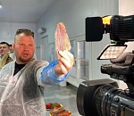 Астраханский бизнес заключил контракты на поставку в Беларусь рыбной продукции