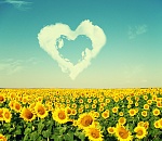 Астраханцам обещают ближайшую неделю без дождей и сильной жары