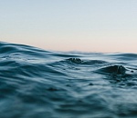 Под Астраханью нашли тело пропавшего рыбака