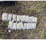 В Астрахани прикрыли межрегиональную ОПГ наркокурьеров