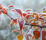 В Астрахань идет похолодание: синоптики даже обещают снег