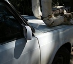 Астраханский автолюбитель показал высококлассный уровень смекалки