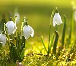 В Астрахань приходит долгожданное тепло