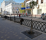 Зачем на пешеходной улице Ахматовской поставили леерные ограждения?