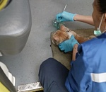 В Астрахани скорая помощь реанимировала кота, потерявшего сознание в дыму пожара