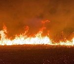 Сотрудники Астраханского заповедника боролись с первыми в этом году пожарами