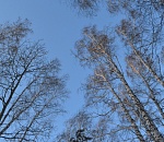 Завтра в Астрахани туманно, тепло и ветрено