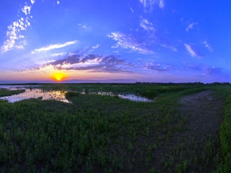 Астраханский заповедник: меньше воблы и зоопланктона, больше горчака и солончаков