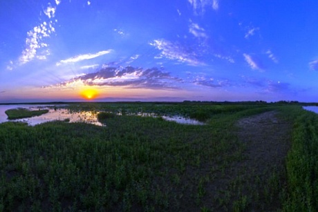 Астраханский заповедник: меньше воблы и зоопланктона, больше горчака и солончаков