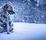 Завтра астраханцев ждет снегопад, сильный ветер и... потепление