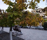 В Астрахань вновь идет потепление