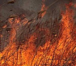 В Астрахани на огромных площадях горят камыш и мусор