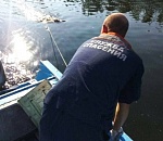 Астраханские спасатели дважды вытаскивали из реки одну и ту же девушку