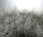 Дождь и солнце, день чудесный: погода в Астрахани на завтра