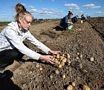 Шестьсот астраханских семей участвуют в акции «Накорми себя сам»