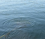 В центре Астрахани утонул рыбак