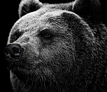 Астраханские единороссы меняют формат праймериз  (ПРИЧЕМ, КАРДИНАЛЬНО)