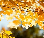 В Астрахань возвращается тепло