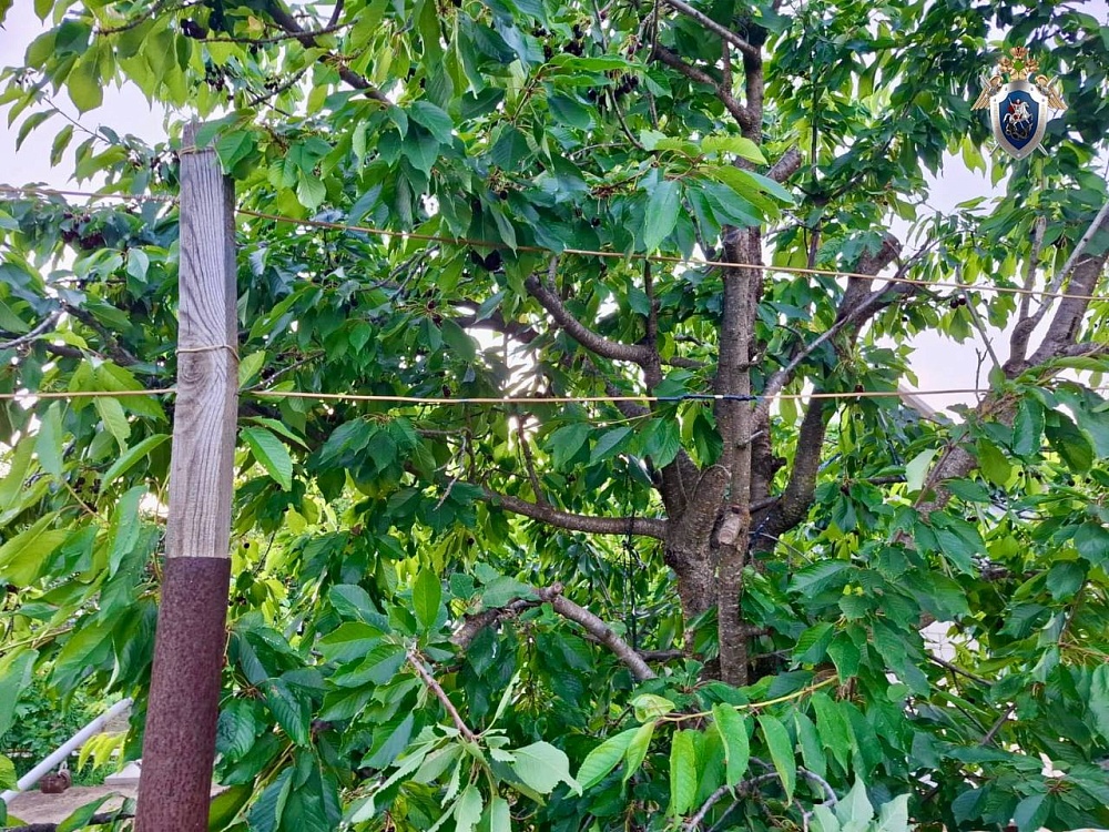 Назван подозреваемый в гибели ребенка от удара током под Астраханью