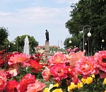 В Новую Астрахань отправили 300 кустов роз из Астрахани