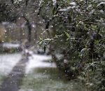 Завтра в Астраханской области будет мокро, но не по-зимнему тепло