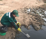 Мэрия Астрахани заплатит почти два миллиона рублей за затопленные нечистотами улицы