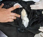 В Астрахани собака задержала водителя-наркомана междугороднего автобуса