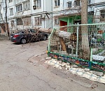 В Астрахани во дворе дома дерево упало на иномарку