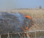 За поджог камыша оштрафованы 14 глав поселений в Астраханской области