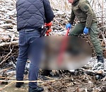 В Астраханской области раскрыли убийство сельчанина, пропавшего без вести прошлым летом