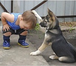 Астраханские эсеры благословили Алексея Попова на работу в минэке