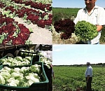 Володарский район претендует на звание одного из самых инновационных в регионе