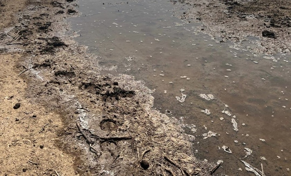 В астраханском поселке случился крупный фекальный разлив на 2 млн рублей