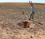 В астраханском заказнике из колодца спасли степного котёнка