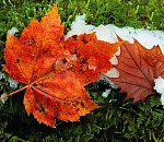 Астраханская погода в ноябре