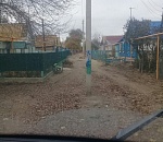 Фото дня: в астраханском селе "выросли" столбы посреди дороги