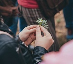 Эксперты АГУ открыли подросткам тайны астраханской природы