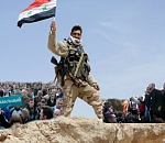 Навальный и Шеин против Пальмиры. Обзор соцсетей