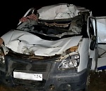 Верблюд стал причиной ужасной аварии на астраханской трассе 